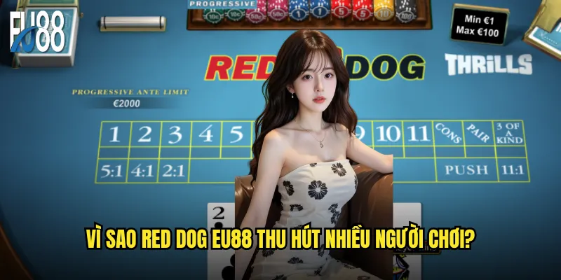 Red Dog Eu88 Có Thực Sự Là Trò Chơi Bài Đáng Để Thử Sức? 2 Vì Sao Red Dog Eu88 Thu Hút Nhiều Người Chơi?